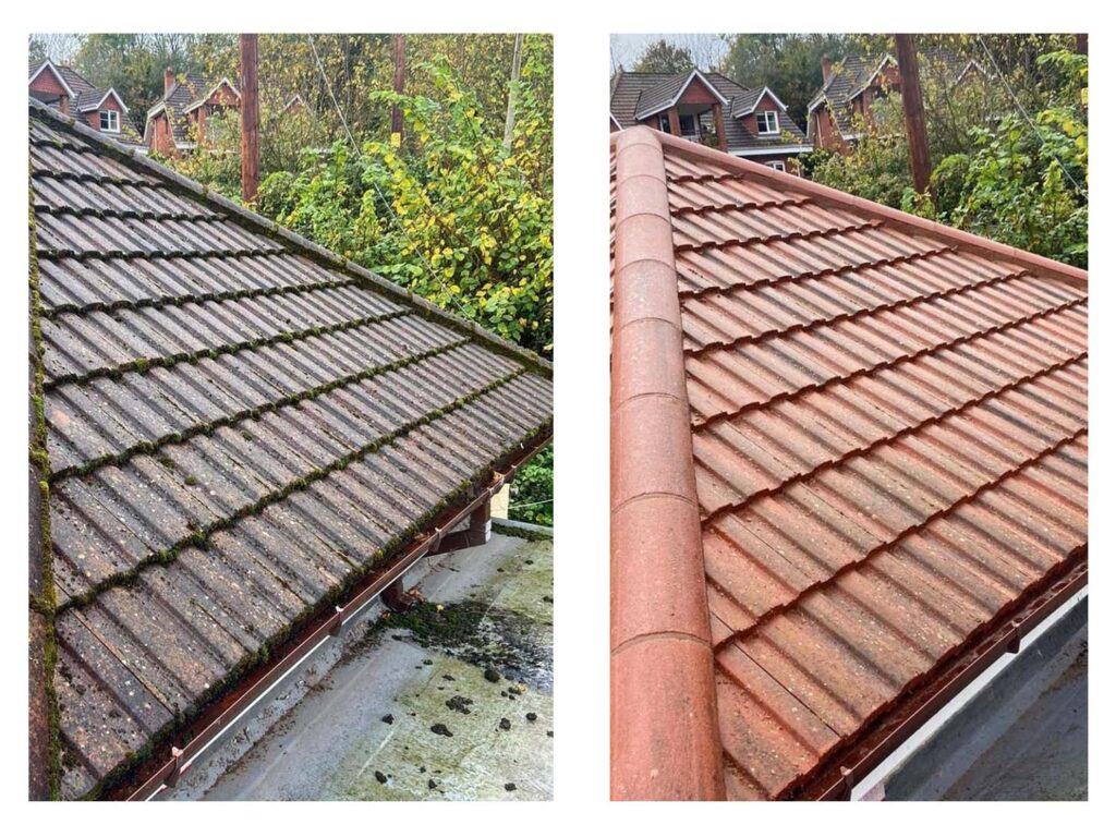 roof before after